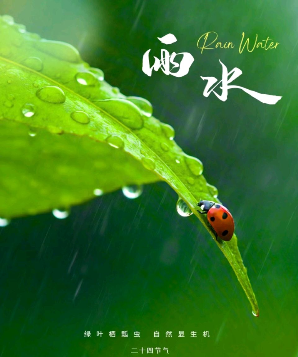 咏雨水（图5）