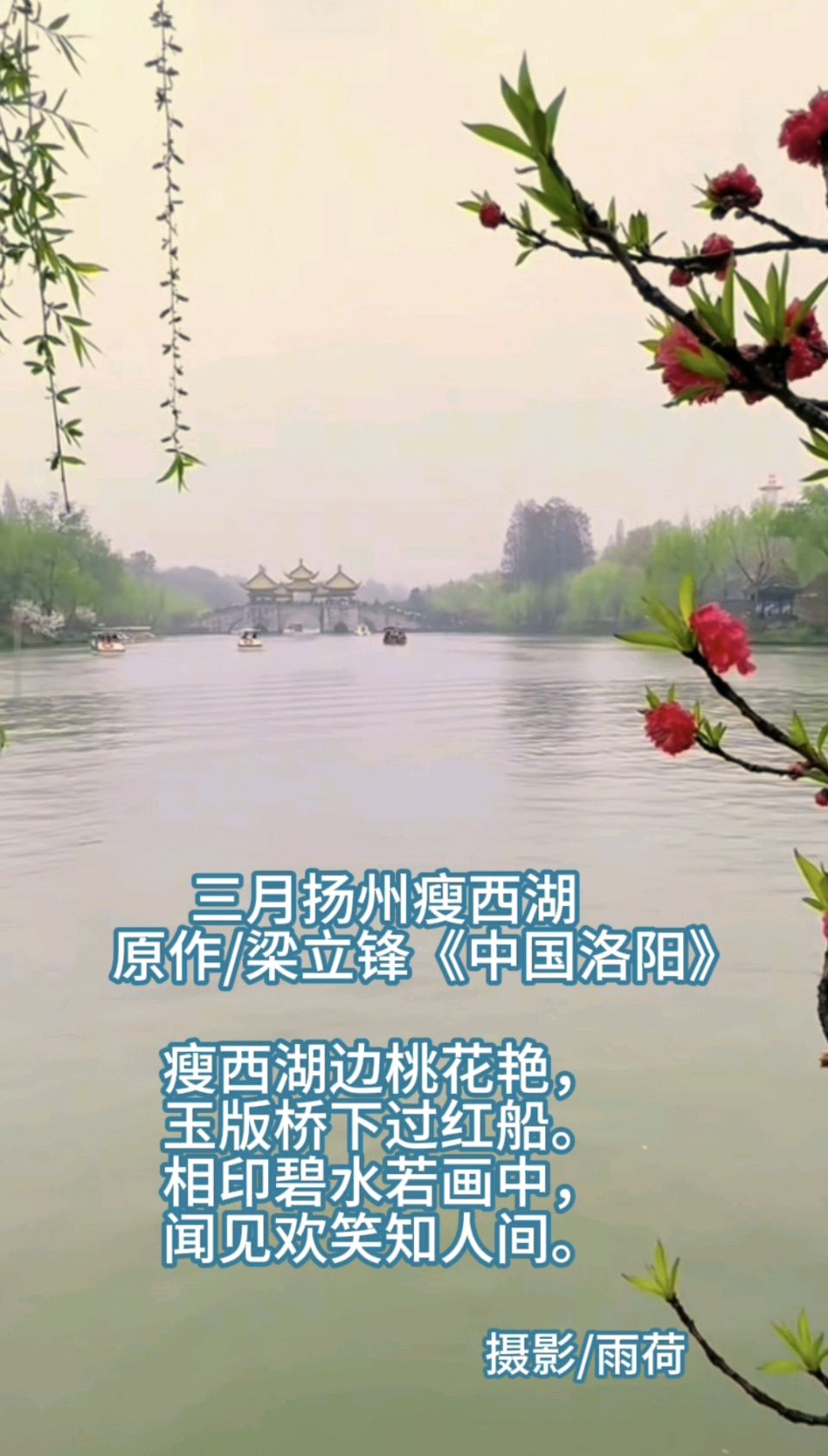 三月扬州瘦西湖 原作/梁立锋（图6）