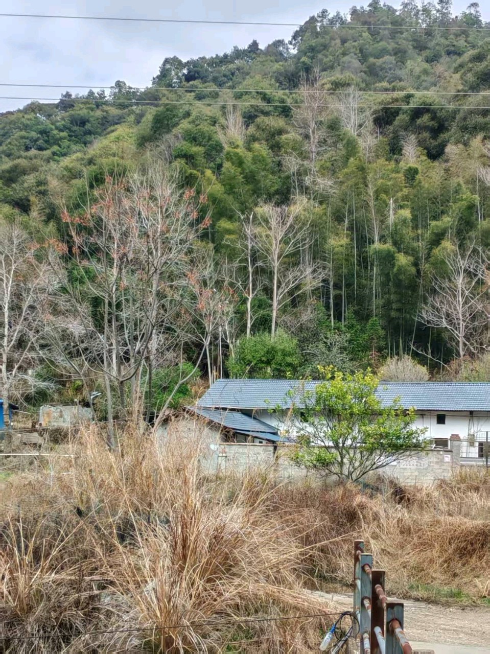 新其源·阳明谷·赣南巴马