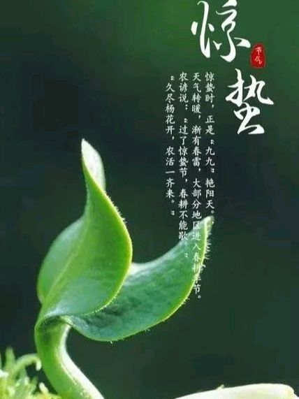 《九江文学社：北京头条》《乙巳惊蛰节气》群刊（图16）