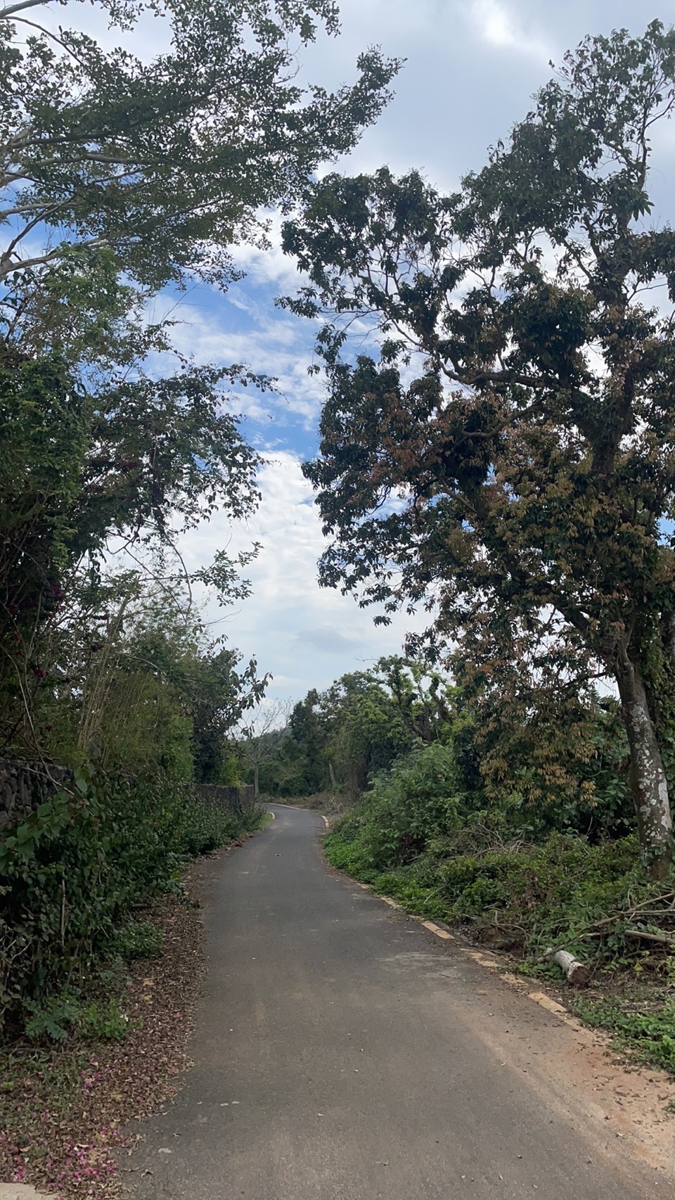 写一首清晨的诗（外一首）文／梁晓权_南海特区头条