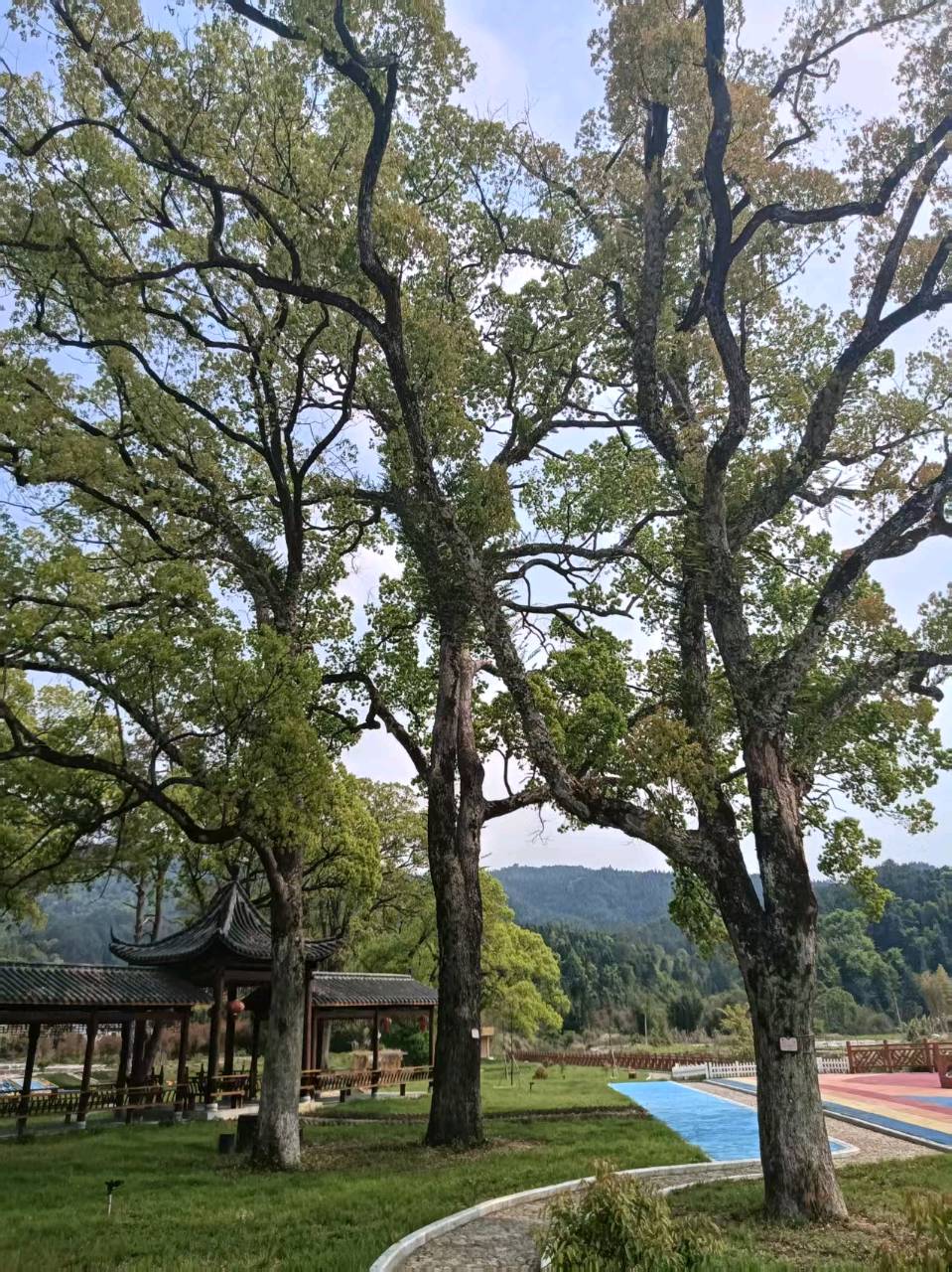 吴德文:里周村（图3）