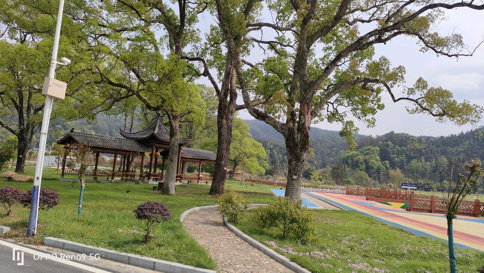 遍地“绿金”看里周（图13）