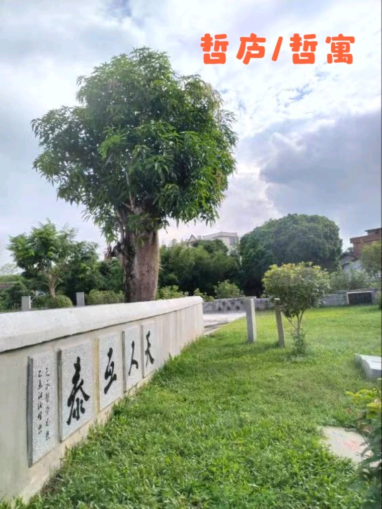 天人互泰：在共生中诠释世界的终极密码（图2）