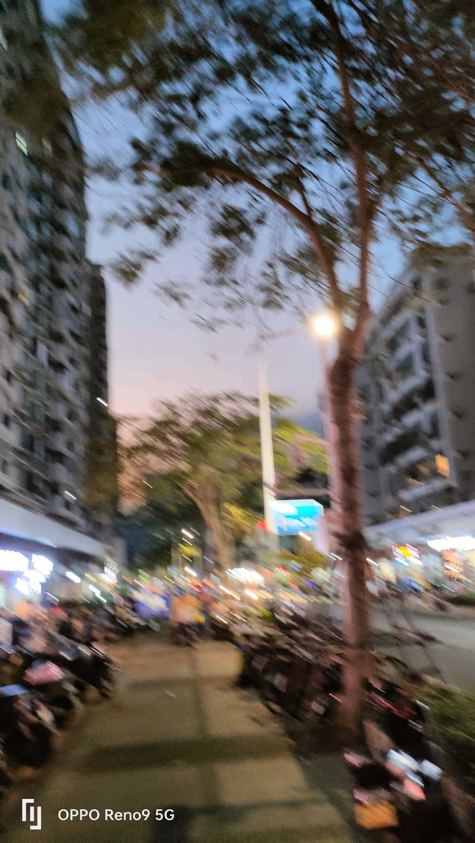 萧剑慧:共赴蓝海（图2）