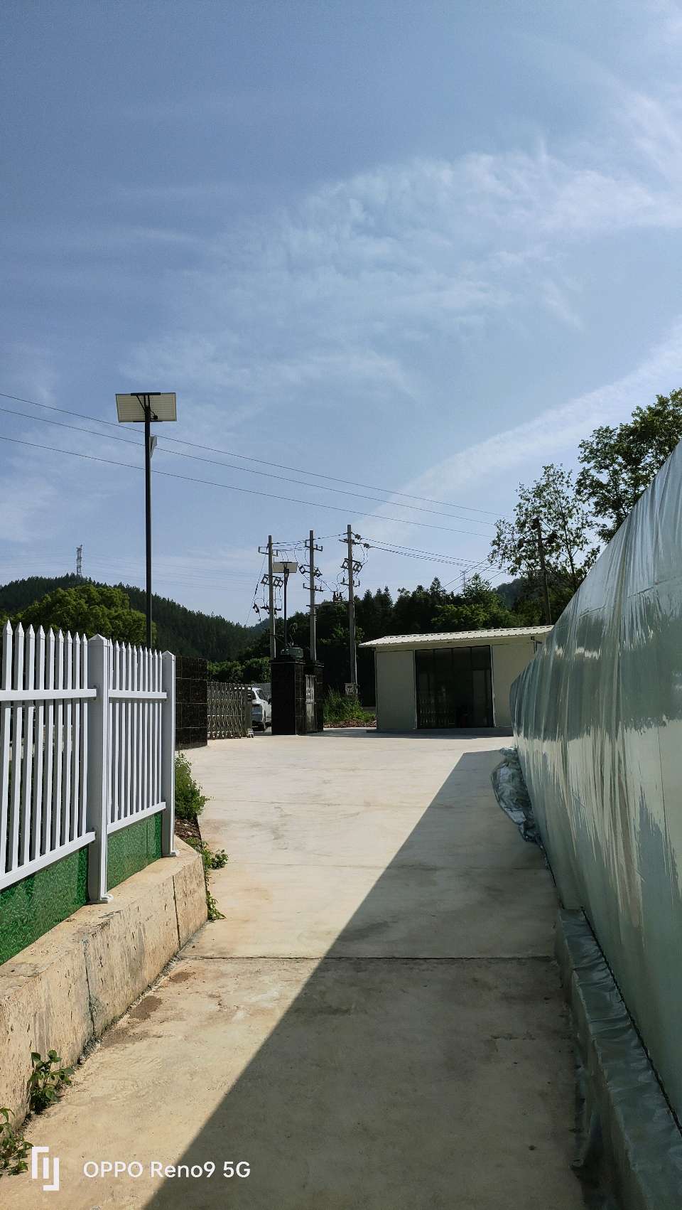兰溪鳄鱼（图11）