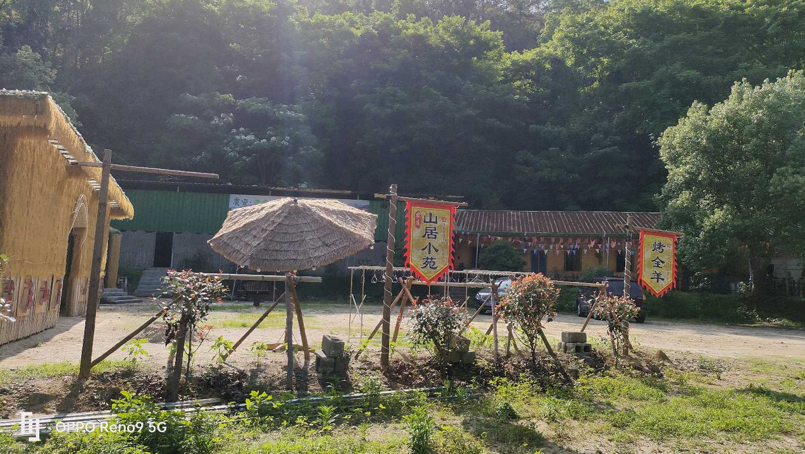 兰溪黄金鸡（图2）