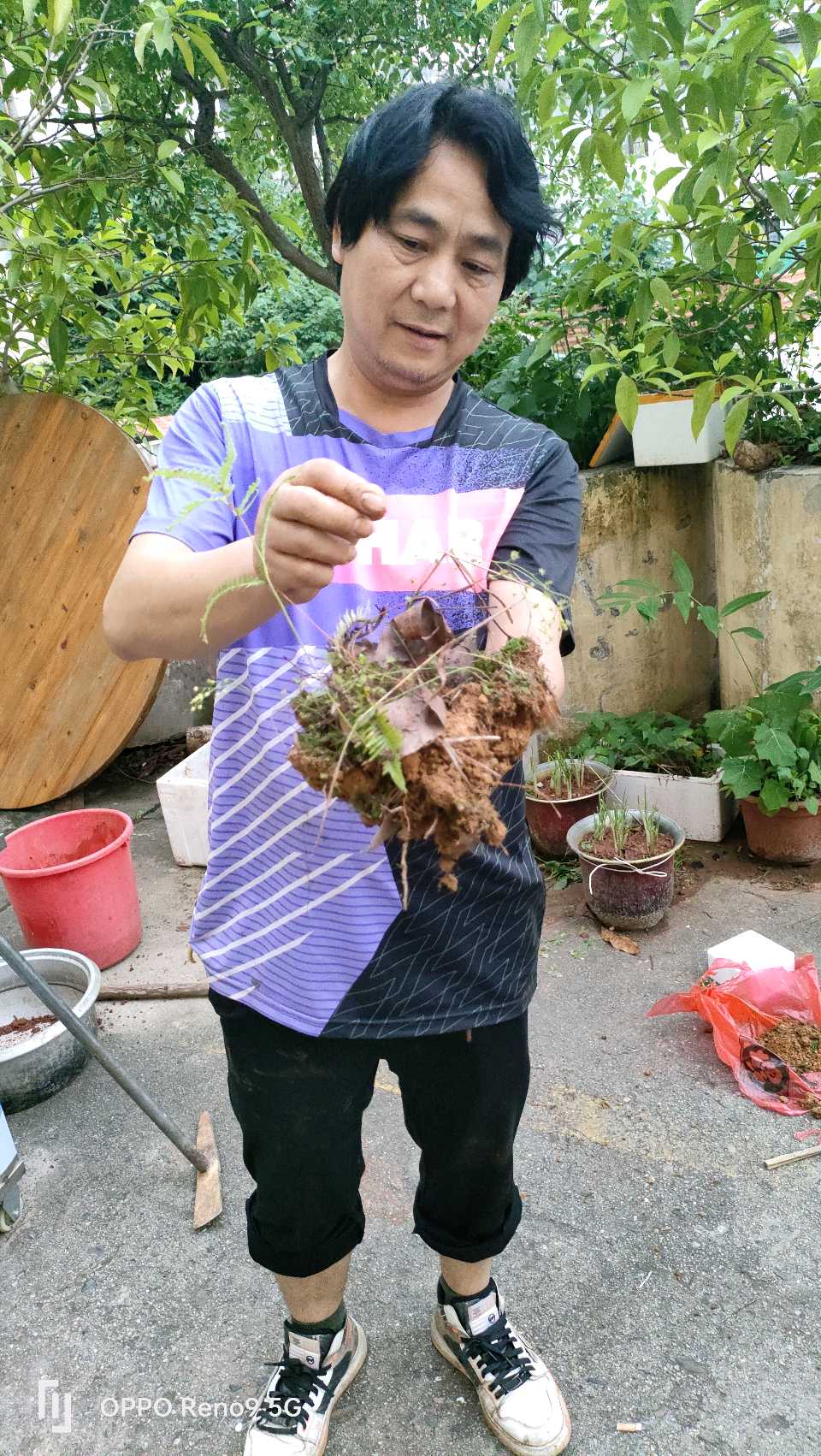黄冬生:大余民间中医落地大湾区(图8)