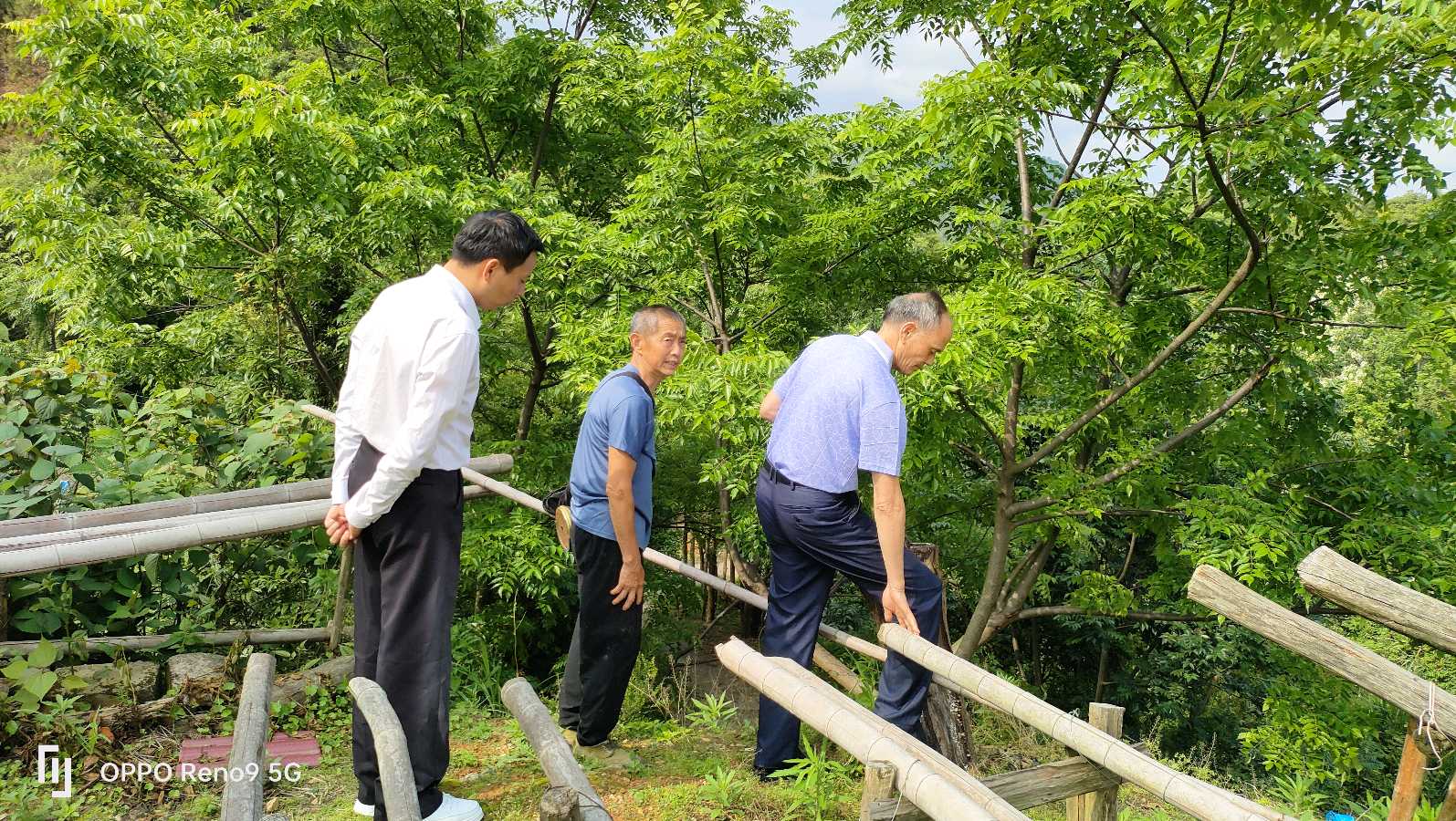 黄冬生:大余民间中医落地大湾区(图11)