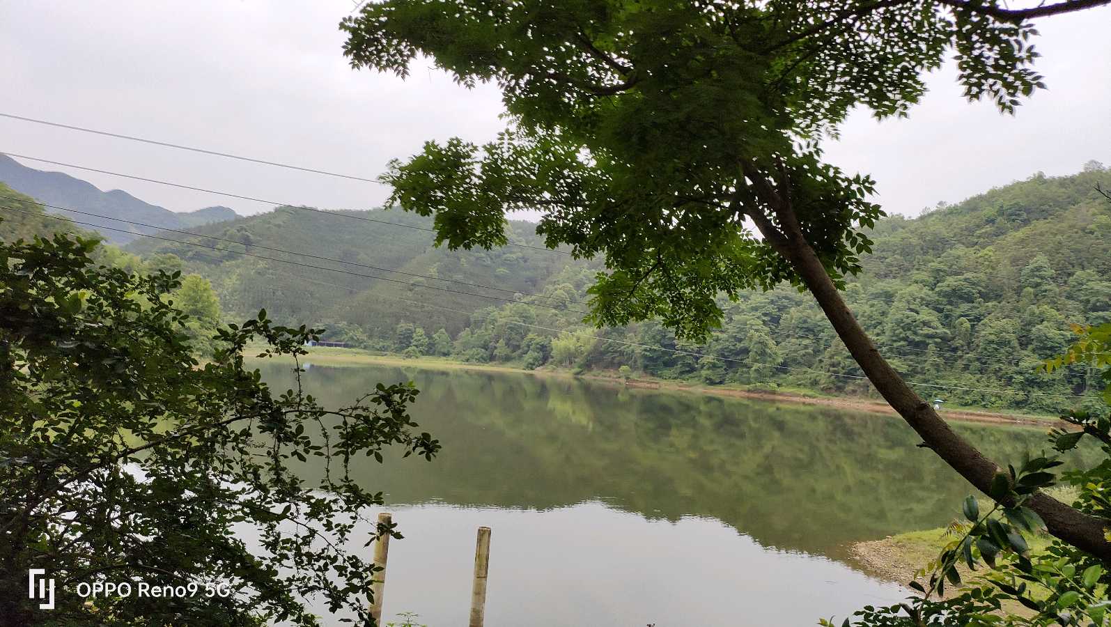 酸甜味美的袁糕（图4）