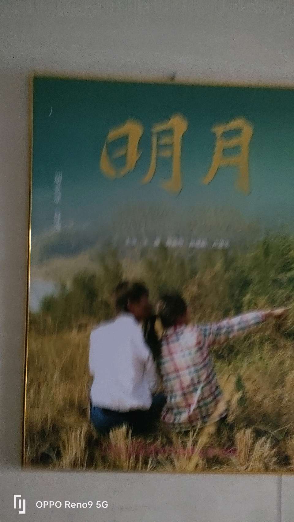 赣南电影《梅岭之恋》海外版制作发行启动（图16）