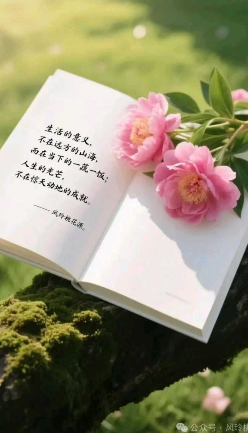【老丫文苑】蔡科//品读岁月的味道//（青海）（图4）