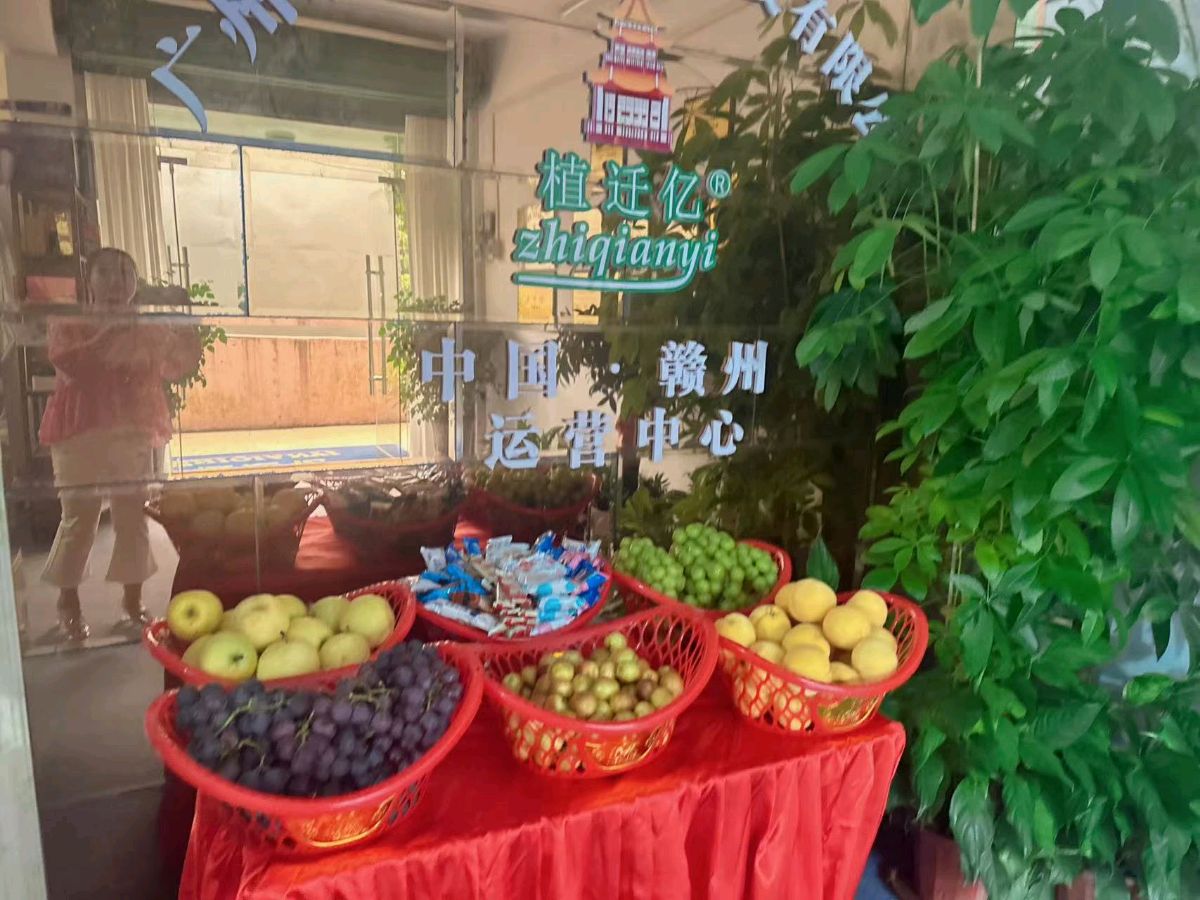植迁亿大健康:宏大叙事与细微践行（图2）