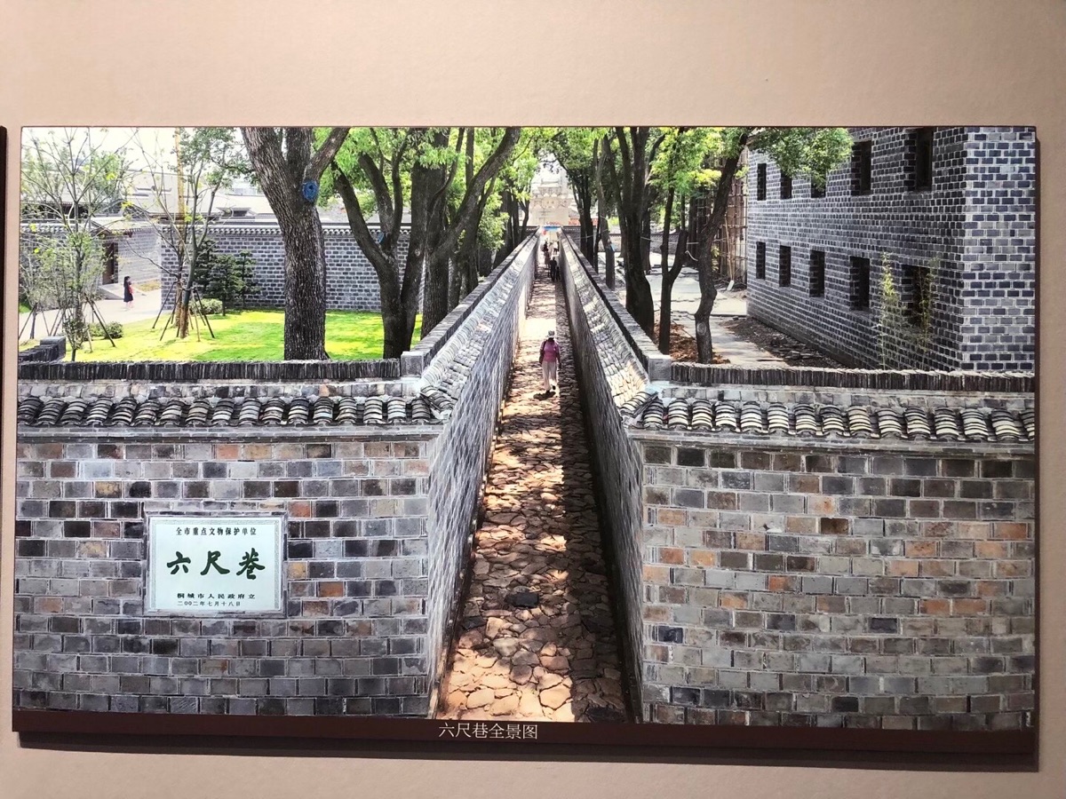 《临江仙. 六尺巷》作者：朱细典