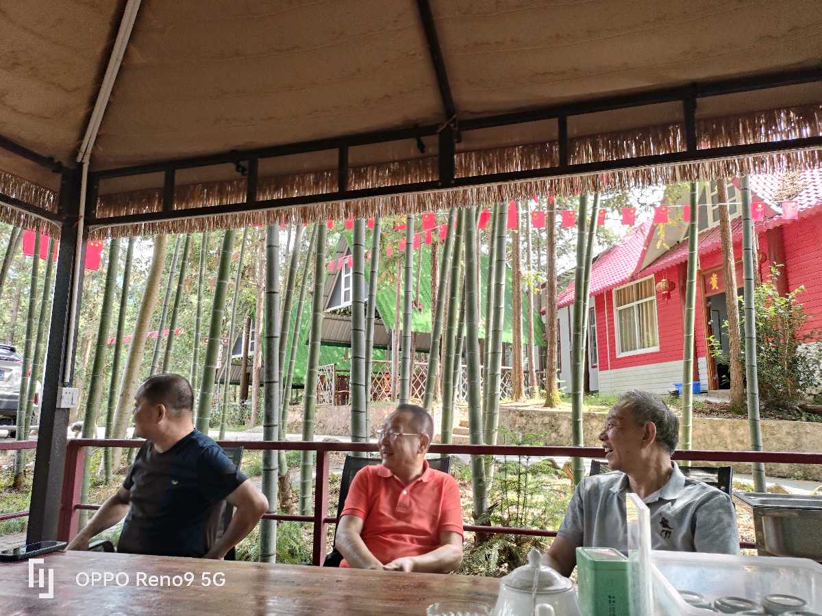 荡坪明悦 康养福地（图8）