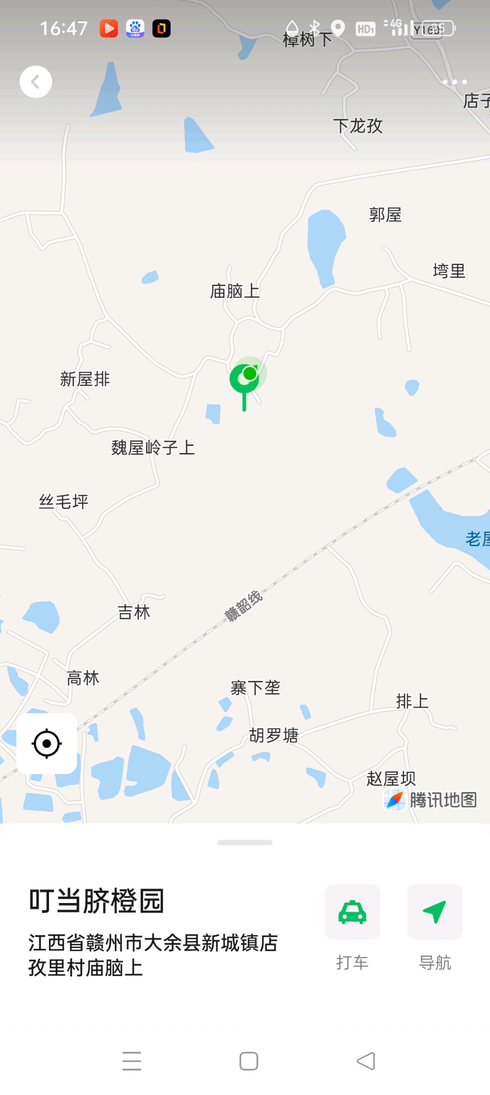 大余新城:叮当脐橙熟啦！（图5）