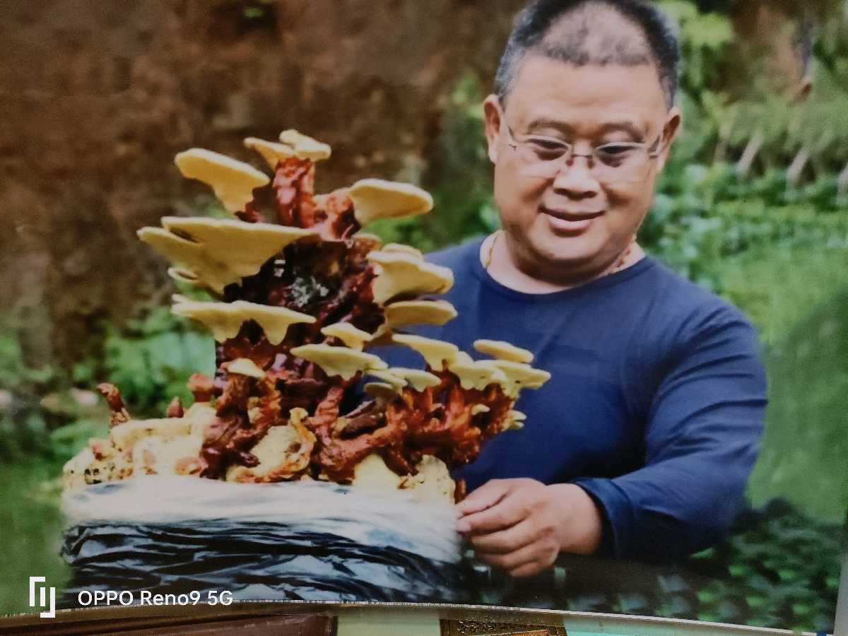 “军力”发力，推广美食！首推:【叮当脐橙】+【植迁亿黄元】+【蓝和香蔗糖】（图6）