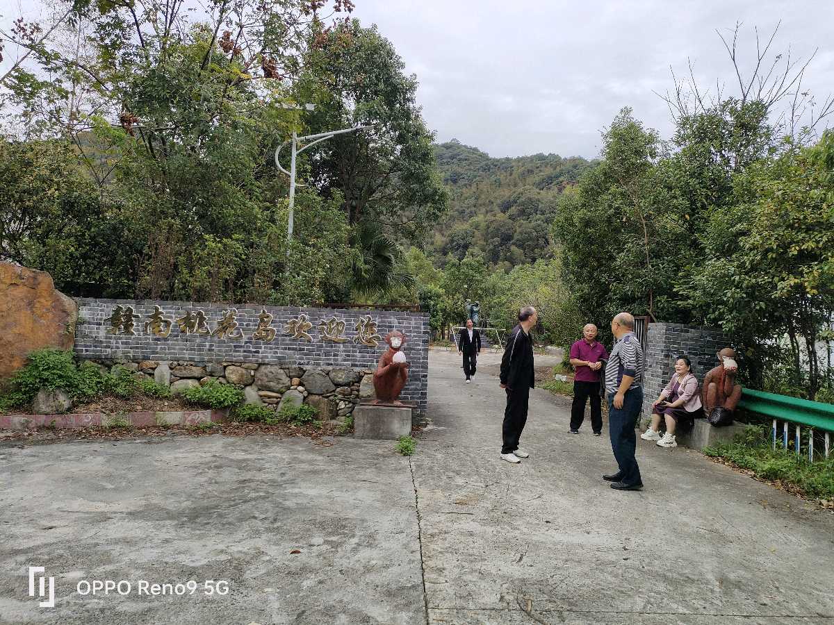 著名作家曾海津受聘为微电影《桃花岛之恋》文学顾问（图4）