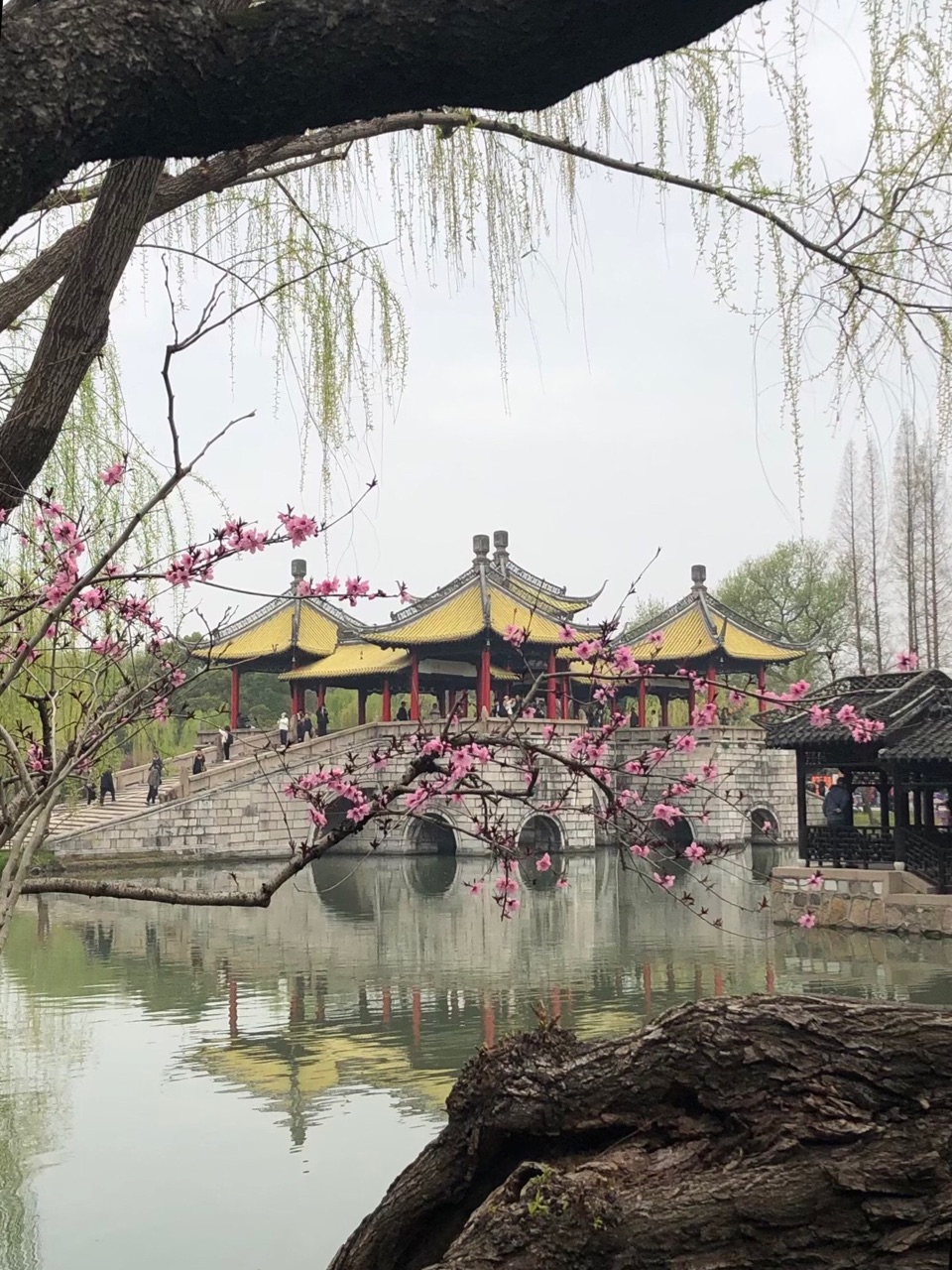 春游瘦西湖（图2）