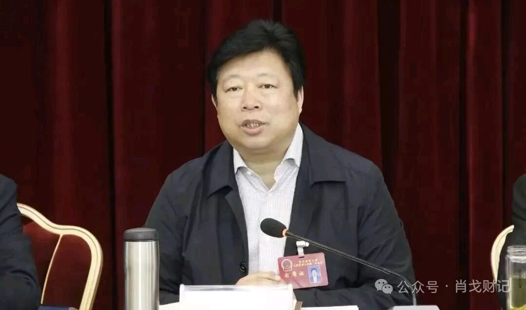 赵長民（旭东）//《長安舵手图鉴：三十载城事与人事的激荡交响》（图11）