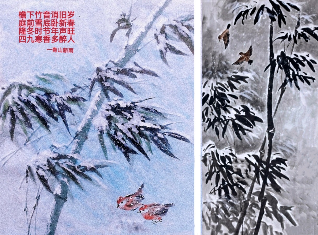 雪竹迎年文/图/青山新雨（图3）