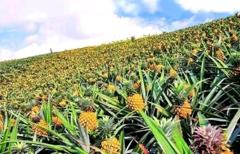 【上海头条】诗生活‖古韵飘香第280期：看图写诗（图5）