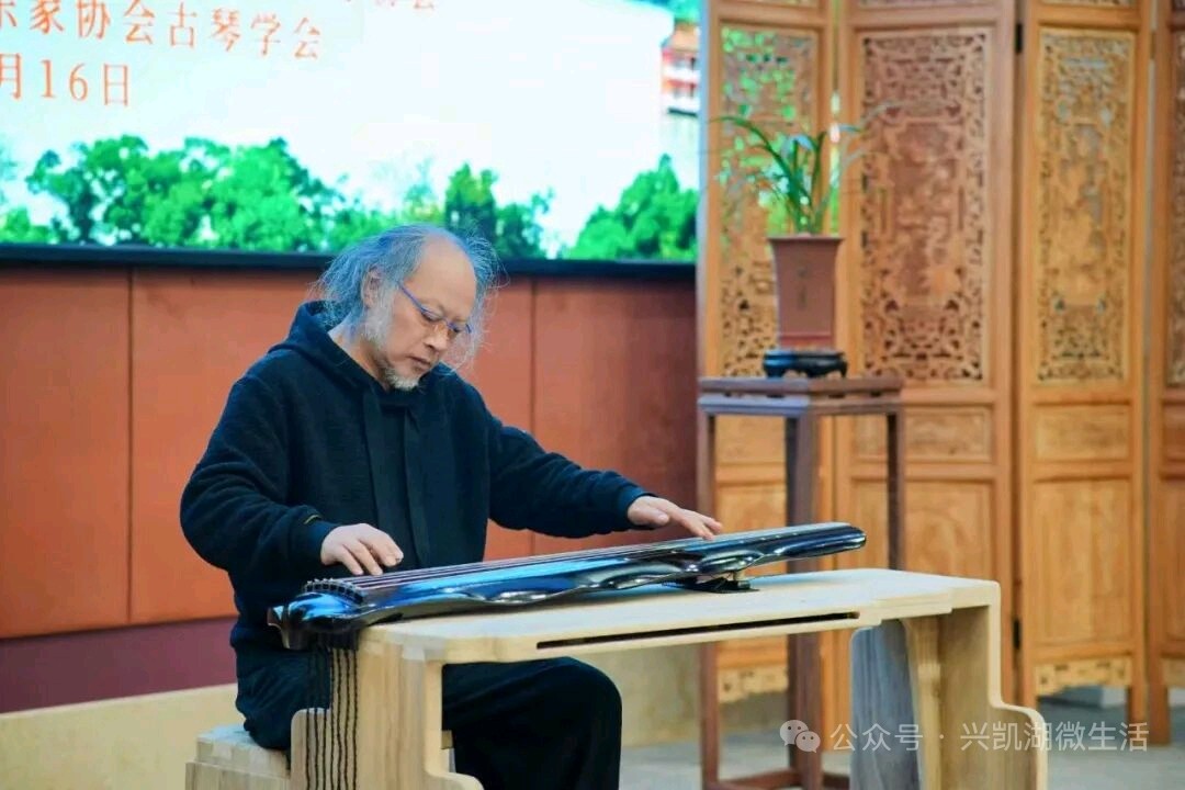 【新闻】以琴博文，王鹏古琴讲座《古琴艺术的文化实践》暨王鹏与惠州琴人古琴雅集活动在惠州博物馆成功举办/王 夫（图9）