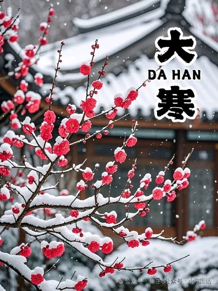 《大寒》文/吴新改（图2）