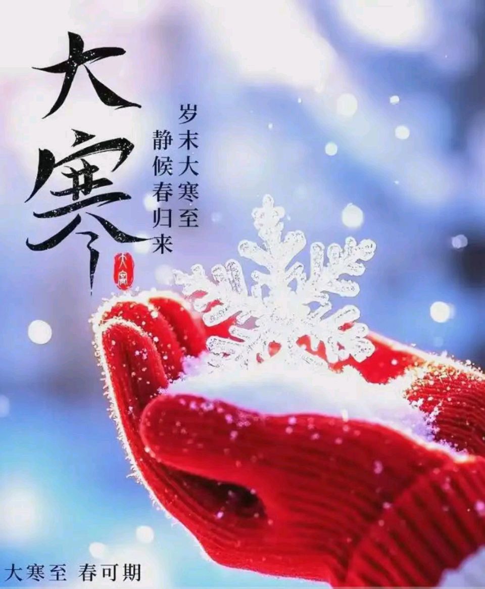 【荣耀中国】文学社*群英荟萃综合刊第1期（图8）