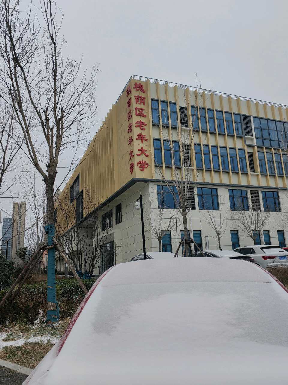 素洁雪花❄（图5）