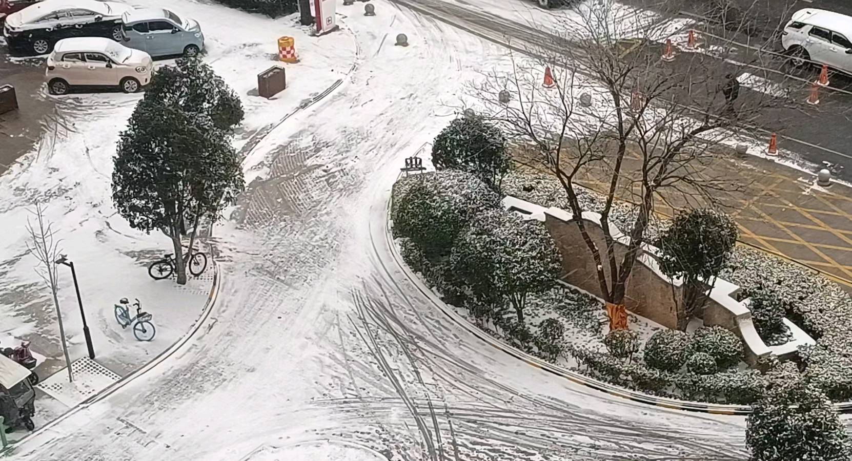 洛雪如期，旧梦新章