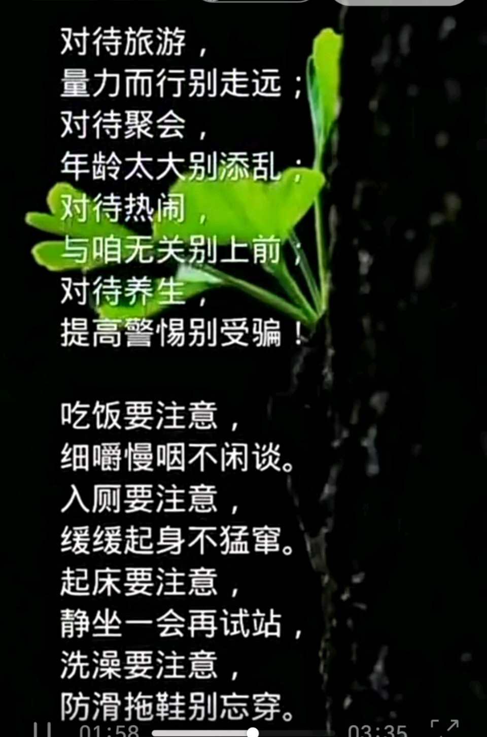 王蒙（转录）//慢生活（图4）