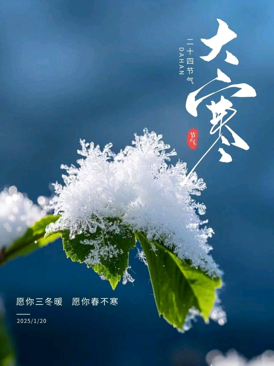 🇨🇳【思归客诗词学会】NO：5247（名家风采）鹧鸪天•生日述怀（外二首//洪年松（河南）（图5）