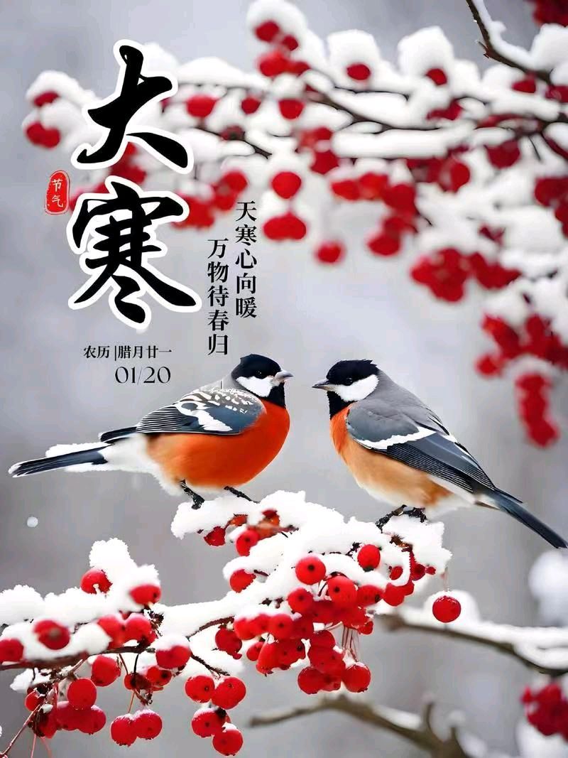 旭日东升//大寒瑞雪兆丰年