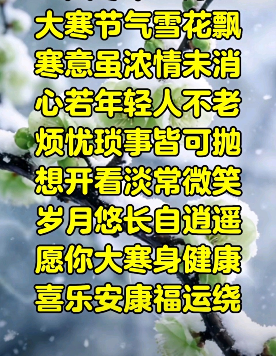 旭日东升//大寒瑞雪兆丰年（图17）