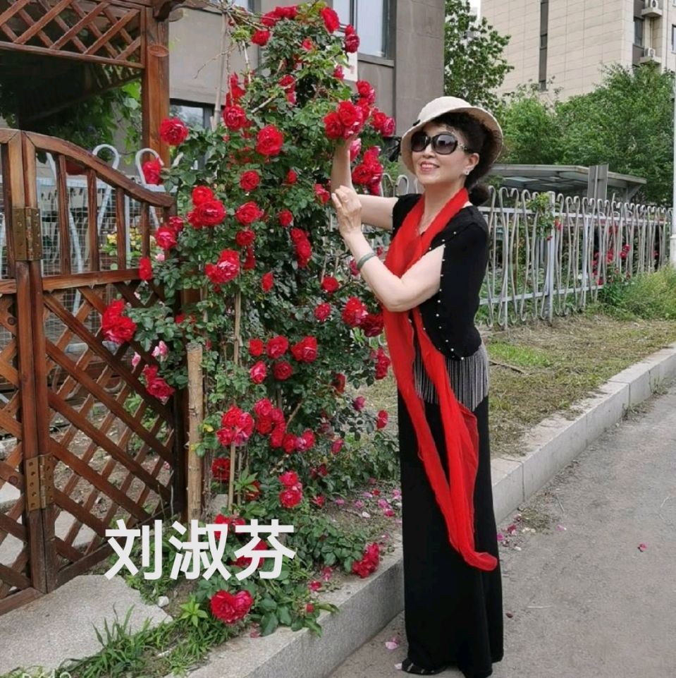 长春姐仨 靓丽海南 作者/逯家驹（图2）