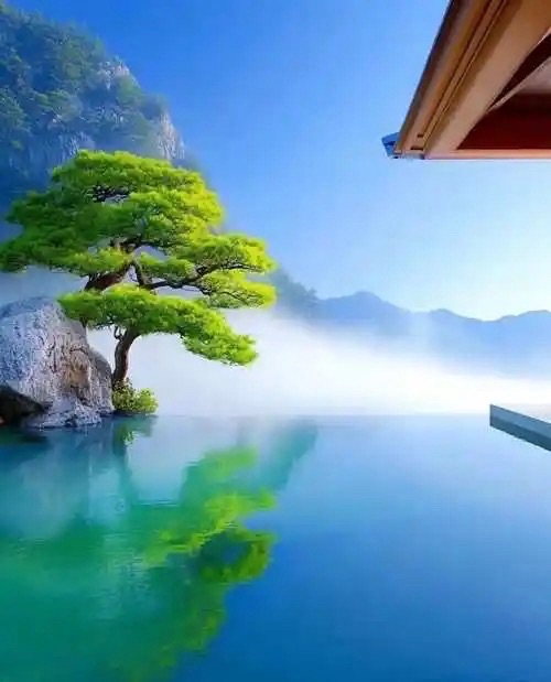 海外头条：《乐呵乐呵，有意义》（外二首）作词 || 高秀军（图6）