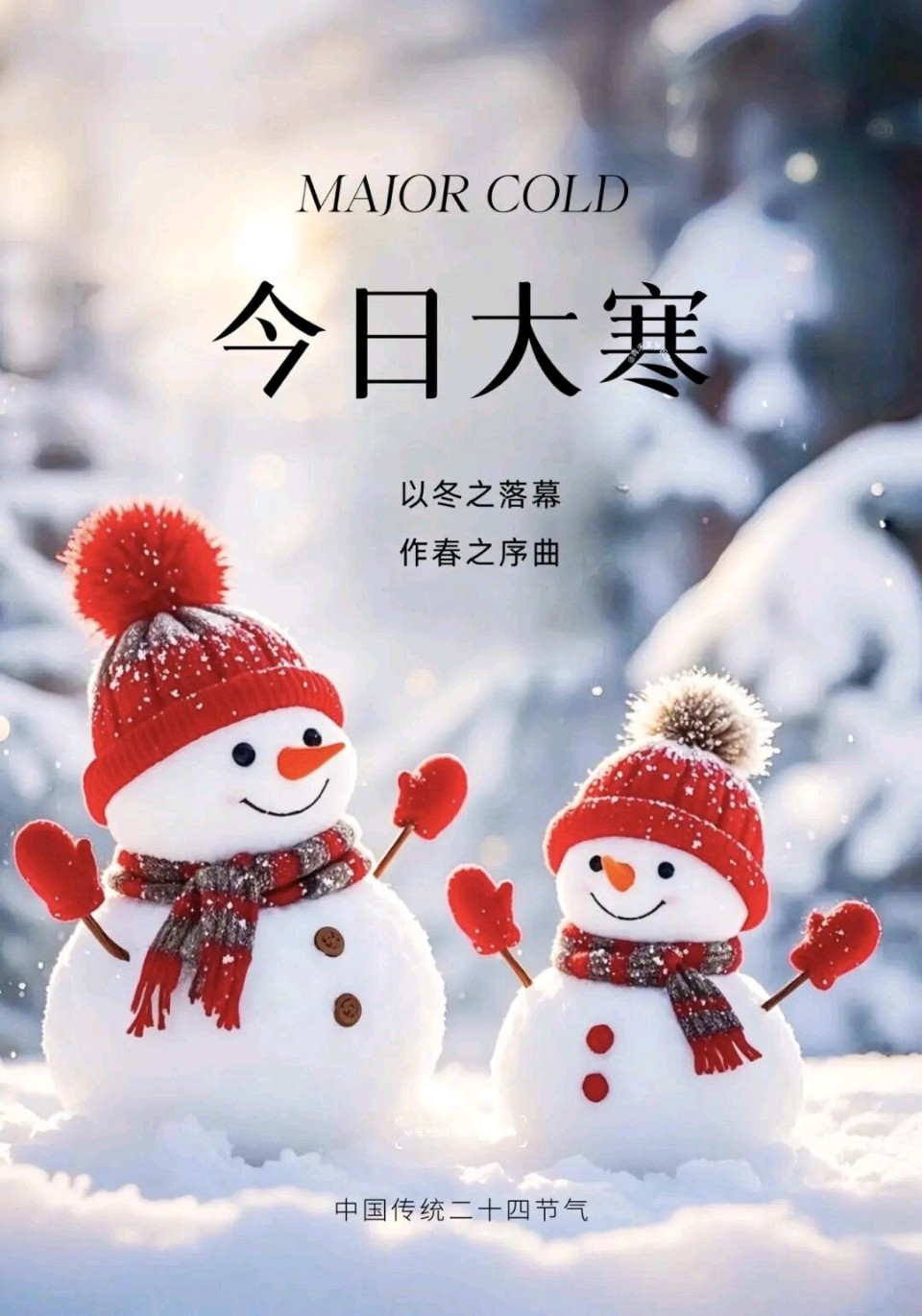 七律 • 大寒雪舞/作者：李庆明（图3）