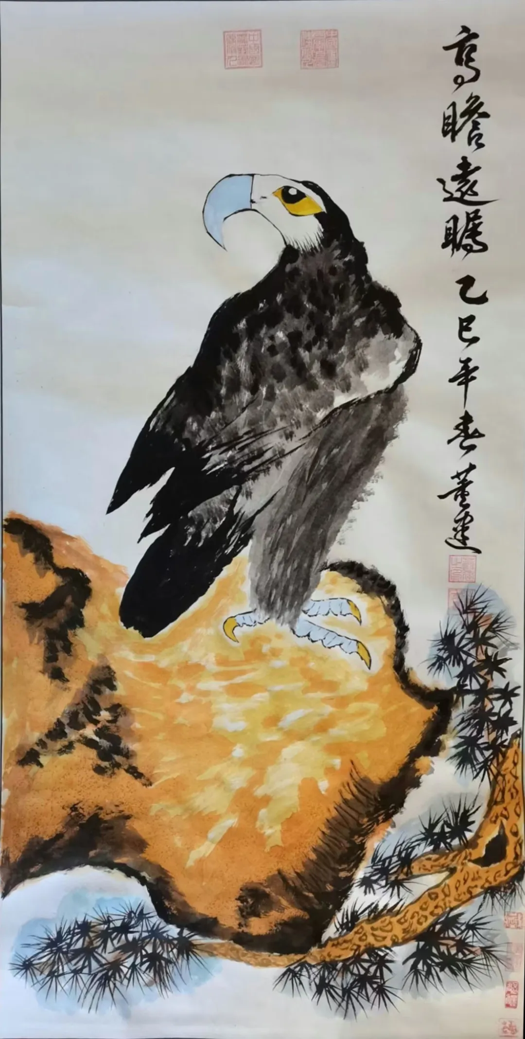 图片