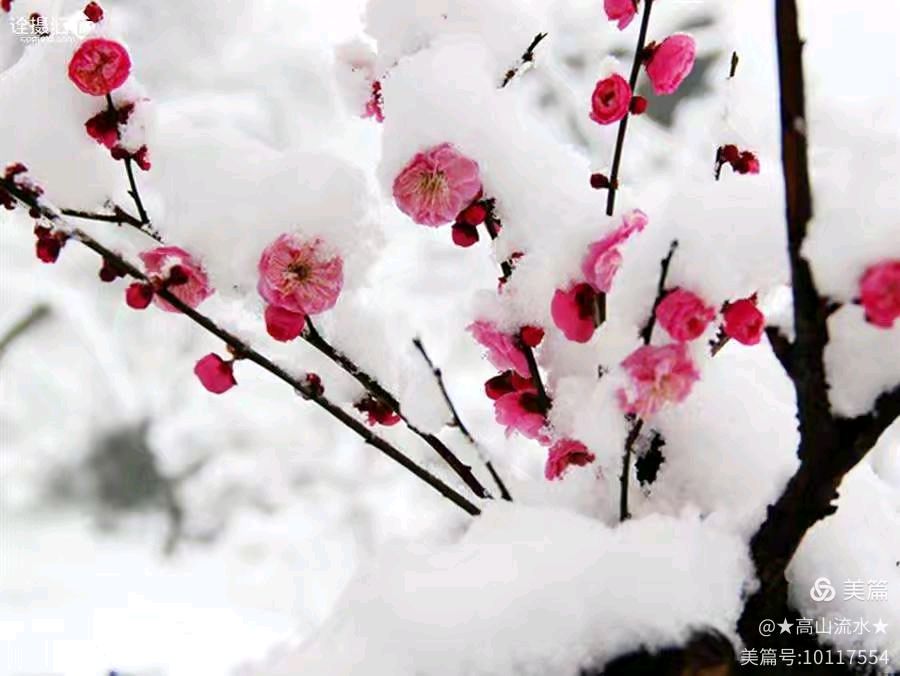 【北京头条】暖暖甜芯现代诗歌专辑020期（图12）