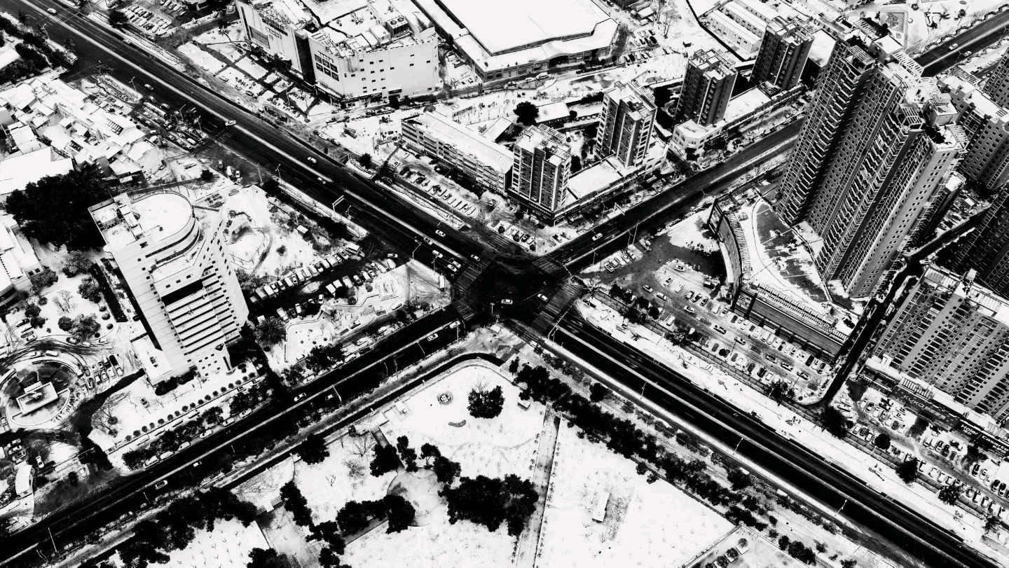 大雪瑞祥，新洲揽胜 摄影 魏久明 文字 周西忠（图5）