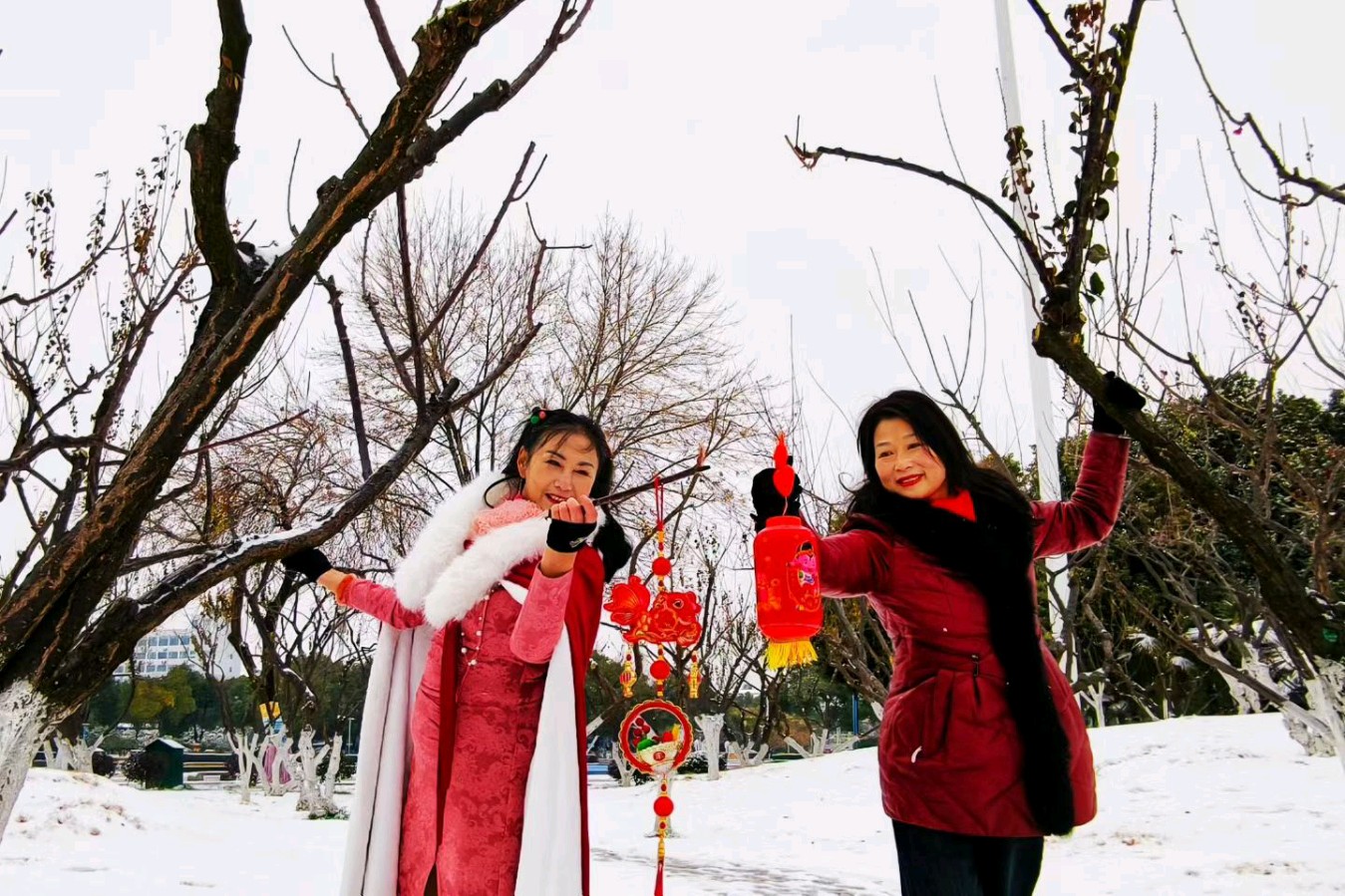 大雪瑞祥，新洲揽胜 摄影 魏久明 文字 周西忠（图6）