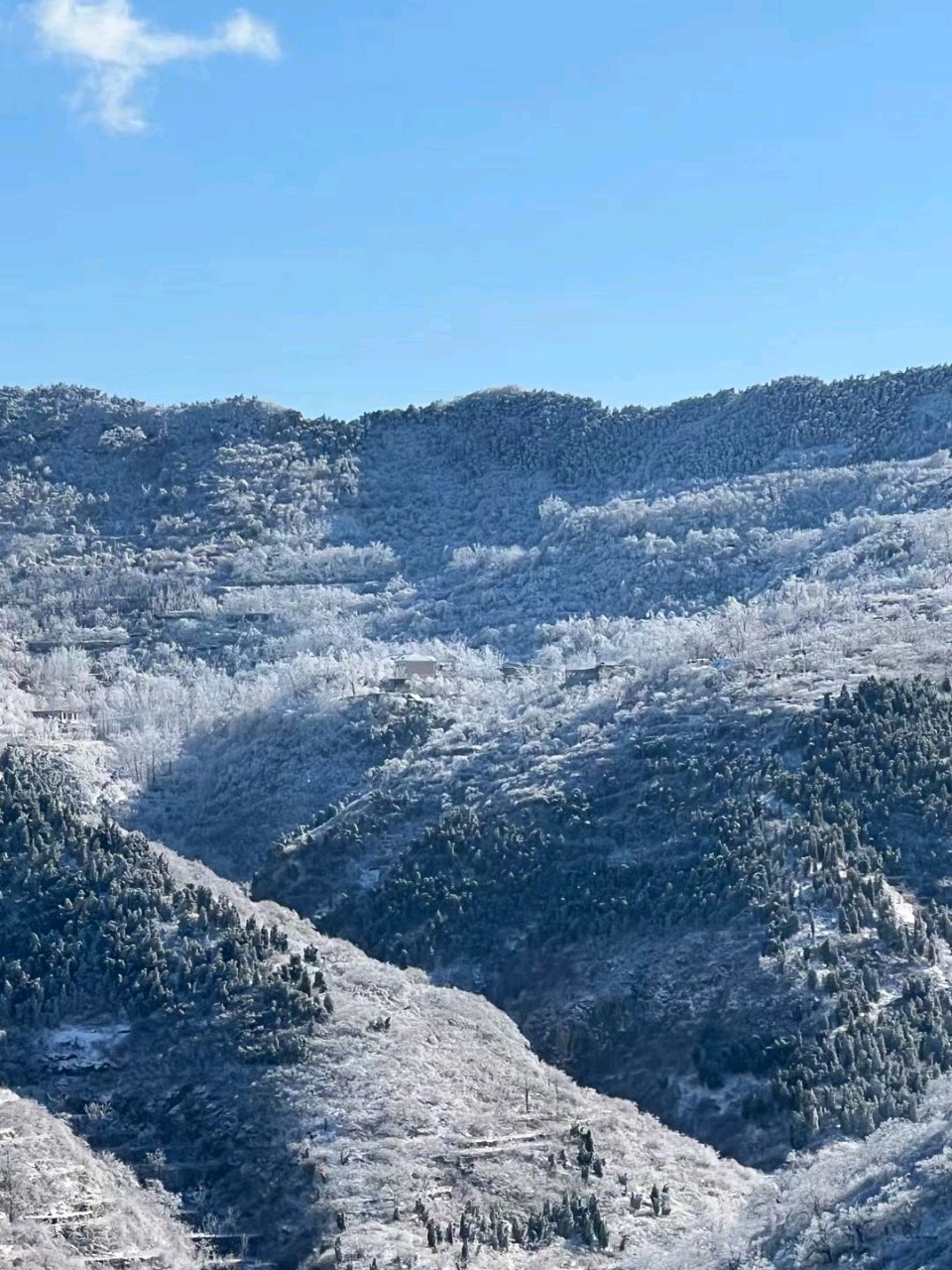 雪覆冰挂❄（图4）