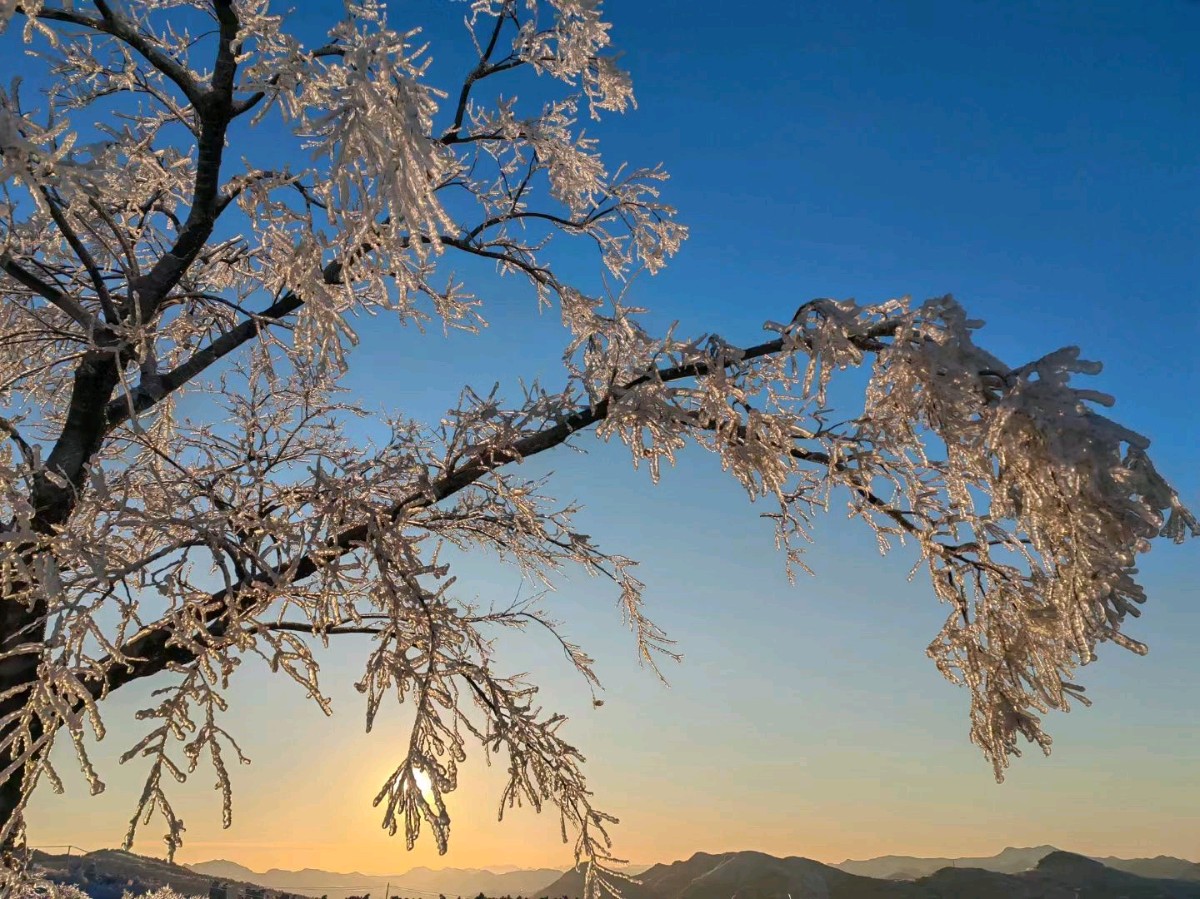 雪覆冰挂❄（图2）