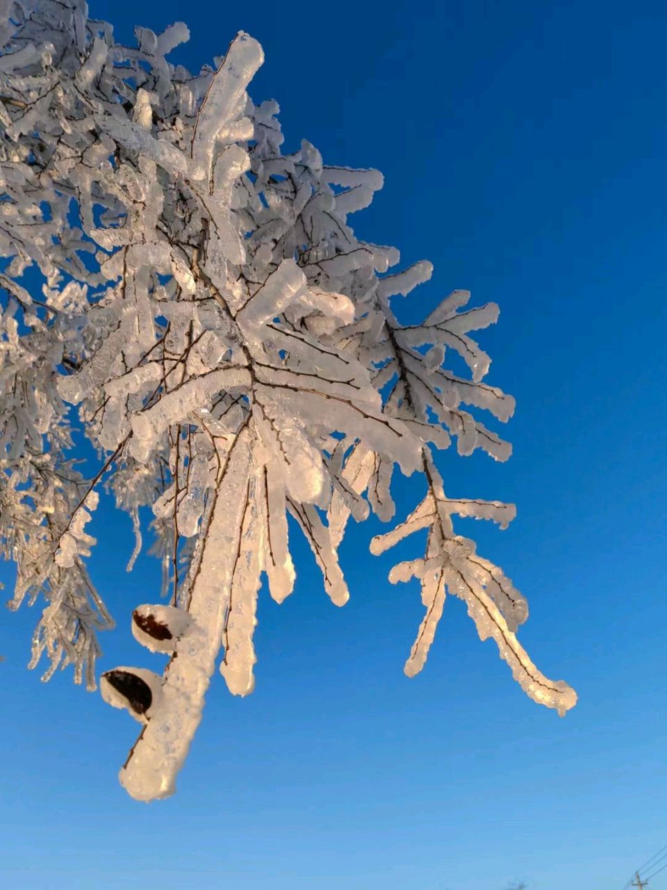 雪覆冰挂❄（图7）