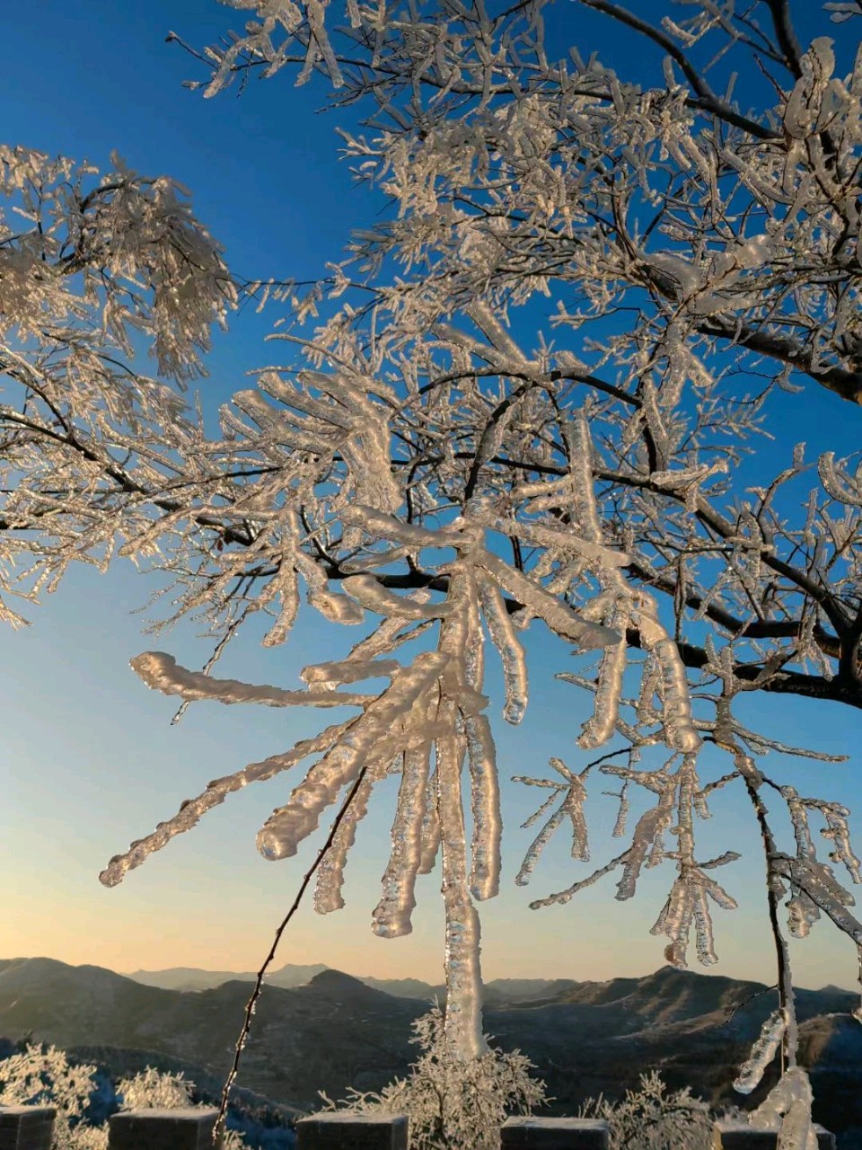 雪覆冰挂❄（图3）