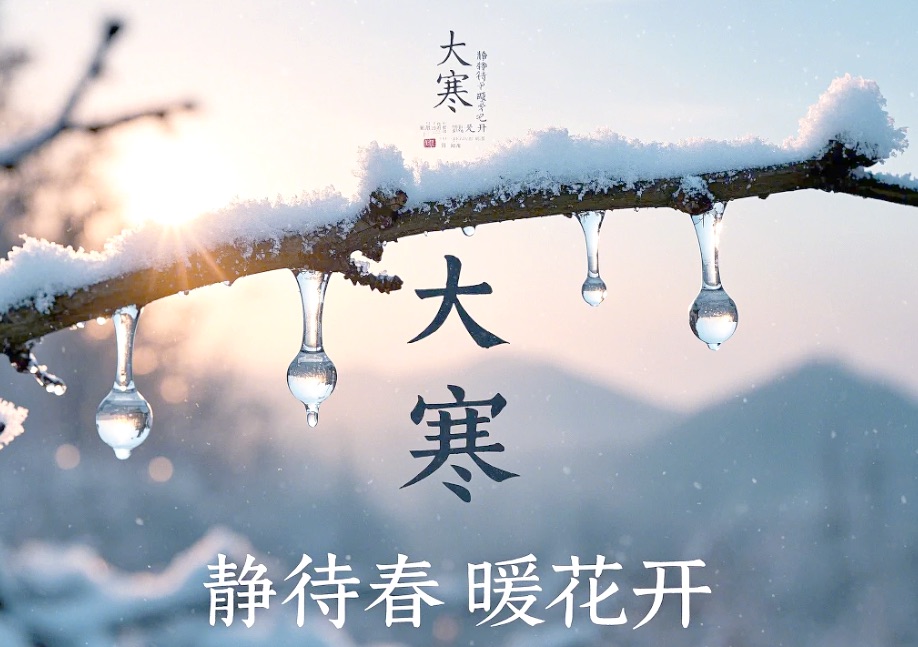 【新诗大观】大寒日，柳下听风||文/宁儿（图3）
