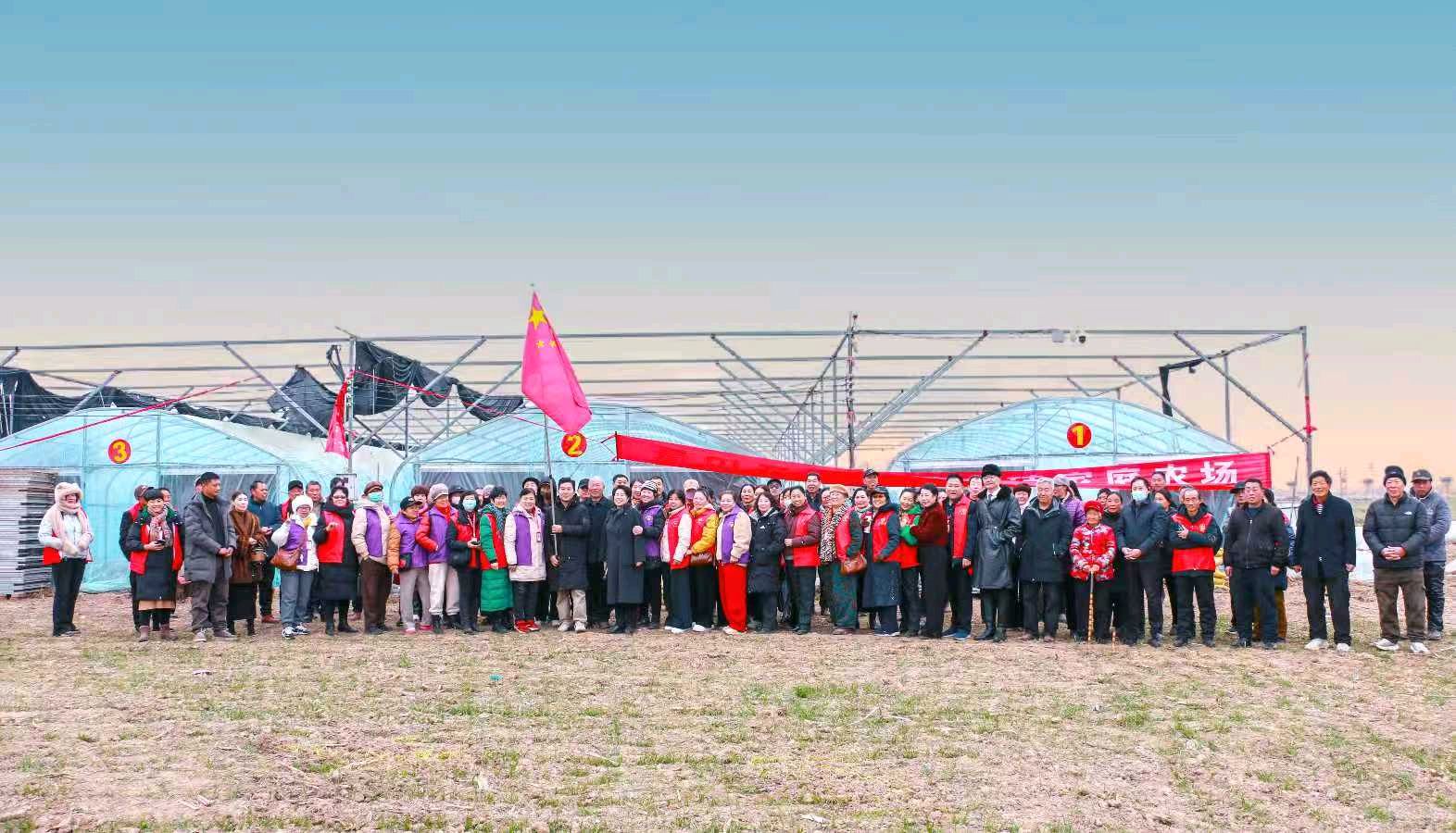一米阳光照田园 政企同心育“鲜”机——鲁山县“共享田园”书写城乡融合新答卷（图3）