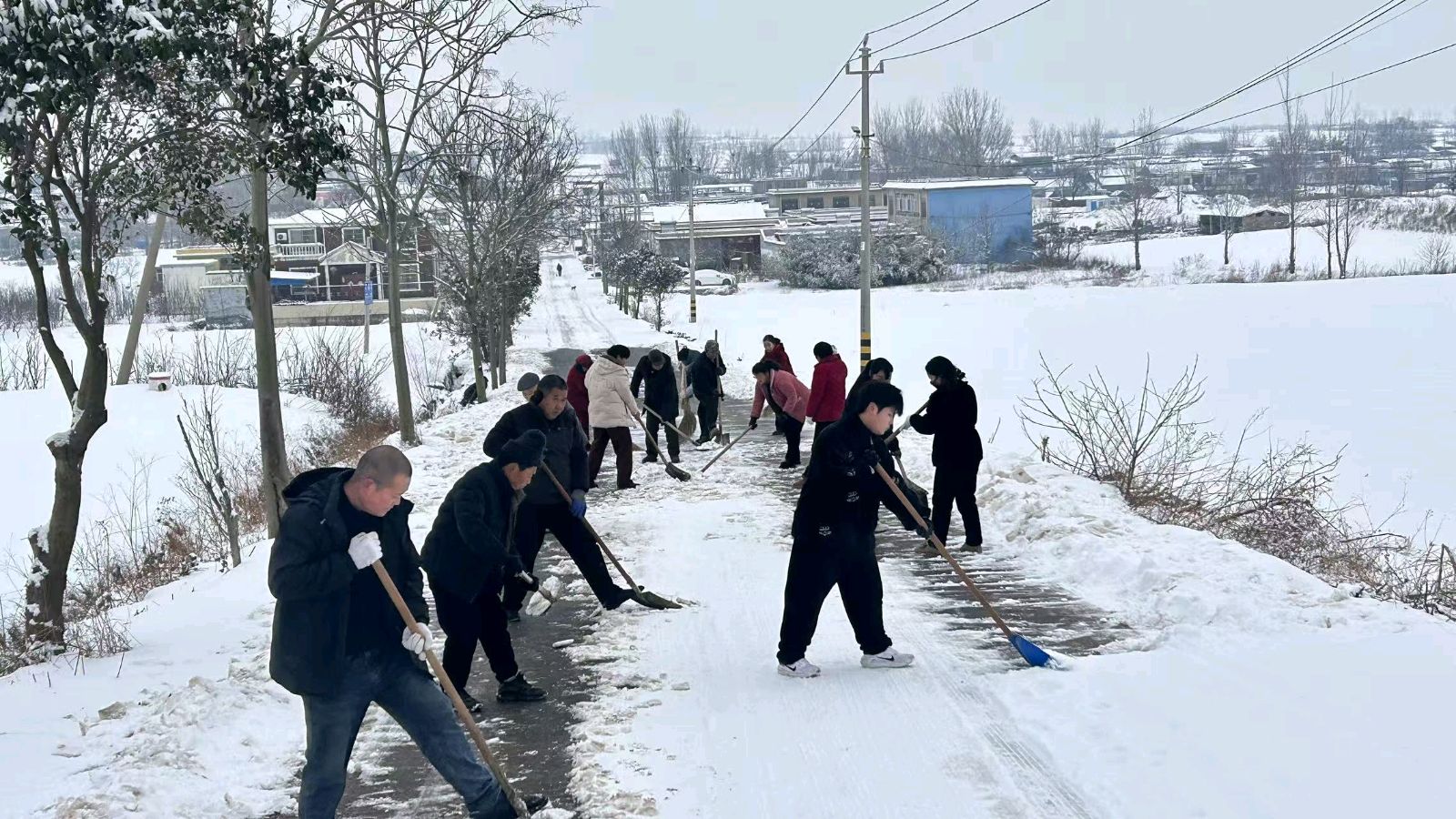 宝丰县大营镇：冰雪无情人有情，多措并举暖民心（图2）