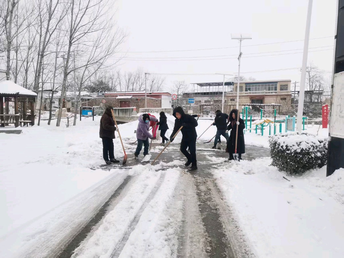 宝丰县大营镇：冰雪无情人有情，多措并举暖民心（图3）